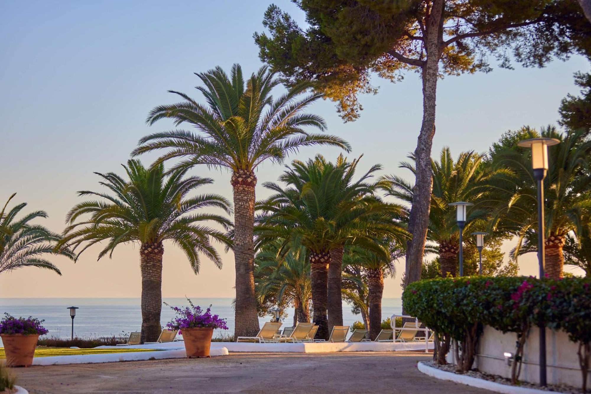 Hilton Mallorca Galatzo Παγκουέρα Εξωτερικό φωτογραφία Palm trees in the resort